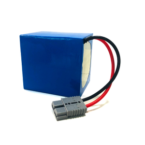 built in 48 volt lithium polymer battery cell for plane